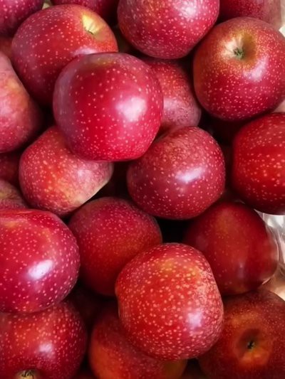 Qinguan Apples With Box price