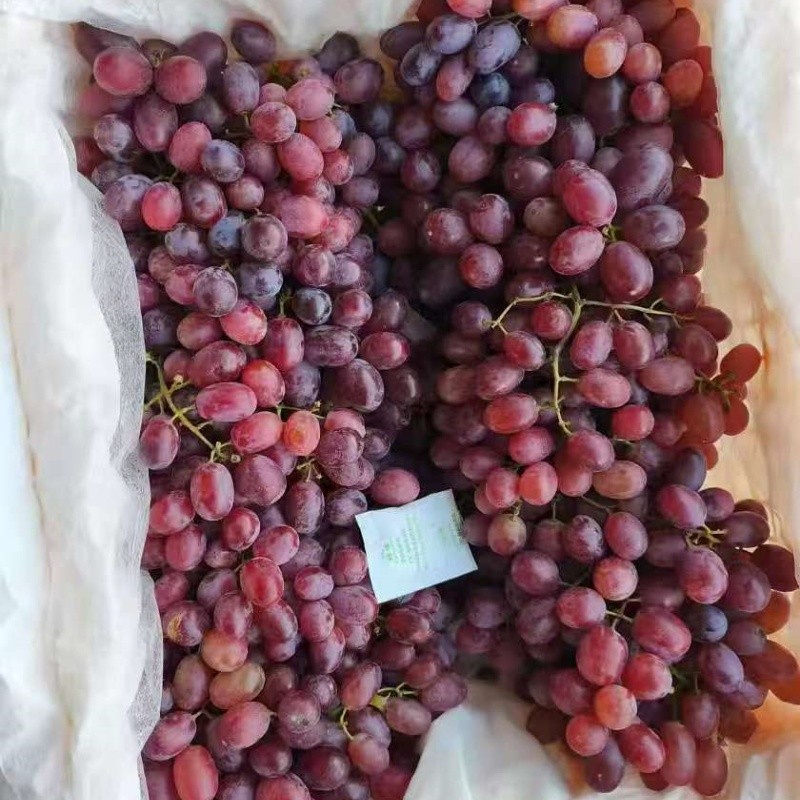 24mm Seedless Crimson Grape best