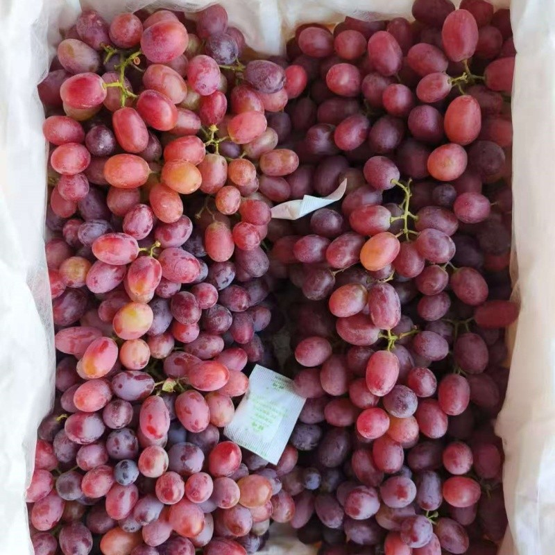 24mm Seedless Crimson Grape factory