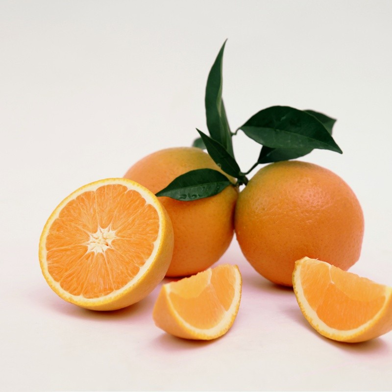 Delicious Sweet Fresh Citrus Oranges suppliers