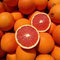 u37661039062044233377fm253fmtautoapp138fJPEG u37661039062044233377fm253fmtautoapp138fJPEG