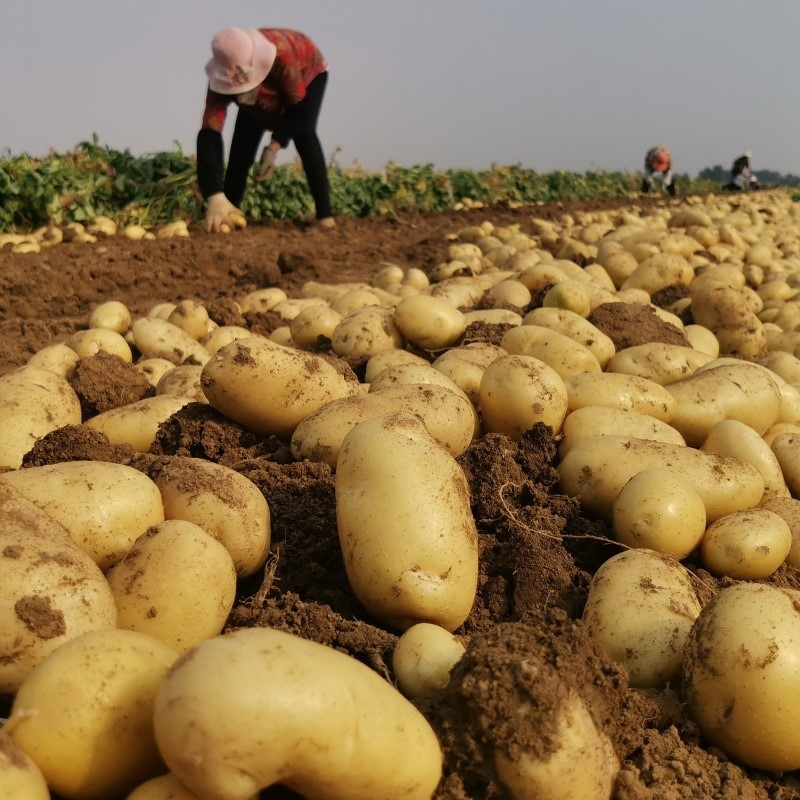 7369imgd8af3a3981bc4990a69ea5354a17fcfb 7369imgd8af3a3981bc4990a69ea5354a17fcfb