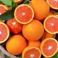 u4100966240918447758fm253fmtautoapp138fJPEG u4100966240918447758fm253fmtautoapp138fJPEG