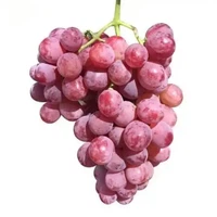 u1069275791666977968fm253fmtautoapp138fJPEG u1069275791666977968fm253fmtautoapp138fJPEG