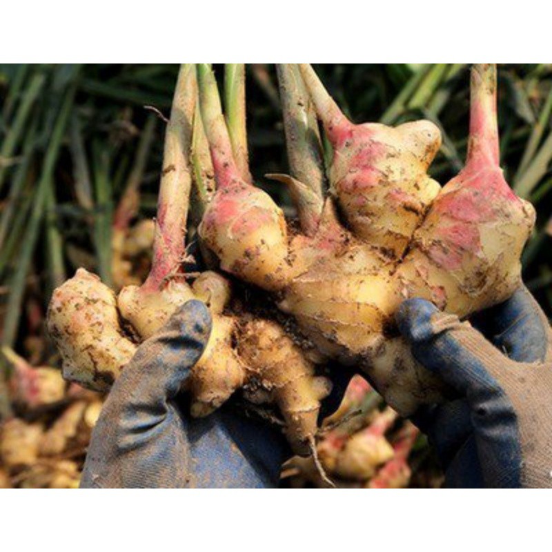 t01a15173856a638254 t01a15173856a638254