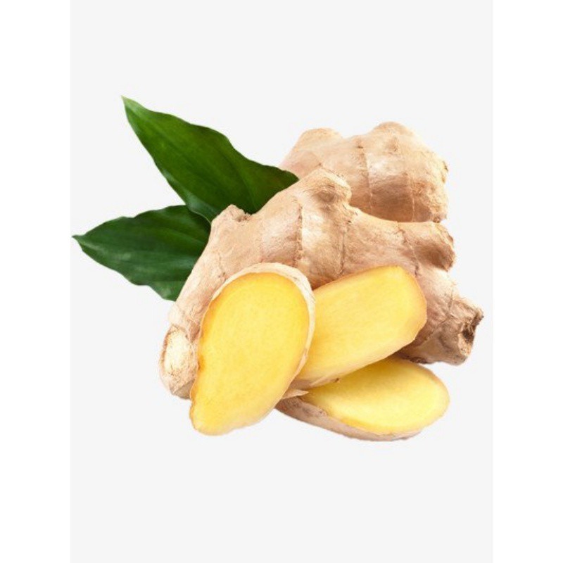 t01ca8303225ebd3cd5 t01ca8303225ebd3cd5