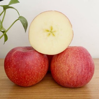 t04d9c9068689f4c615 t04d9c9068689f4c615