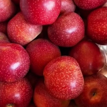 t04f6b896fb63bd7695 t04f6b896fb63bd7695