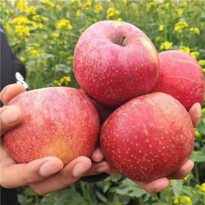 t049aa80f45e96d2363 t049aa80f45e96d2363