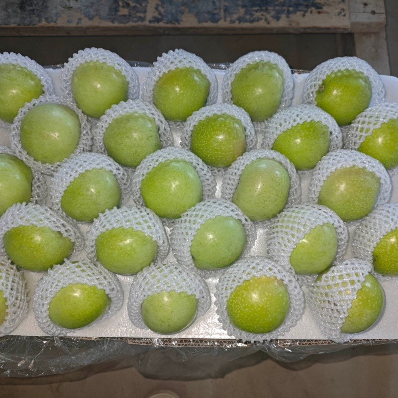 20240802172105 20240802172105