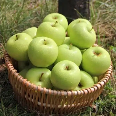 u1129700112740550773fm253fmtautoapp138fJPEG u1129700112740550773fm253fmtautoapp138fJPEG