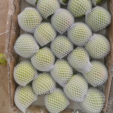 202408021742162 202408021742162