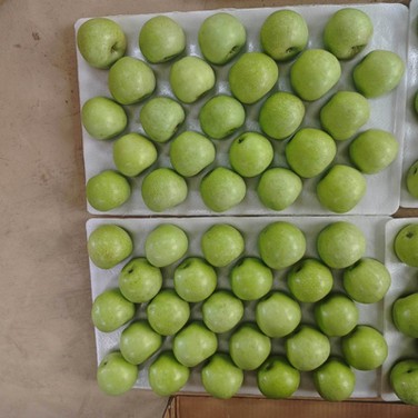 20240802174216 20240802174216