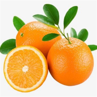 Tsitrusviljade nabaapelsinid müügiks ja hulgimüügiks