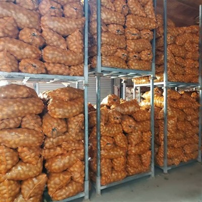 Farm Packing Bags Cold Rom Potato Farm Packing Bags Cold Rom Potato